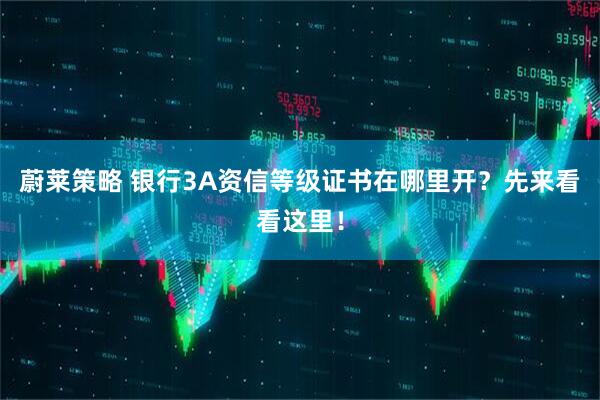 蔚莱策略 银行3A资信等级证书在哪里开？先来看看这里！