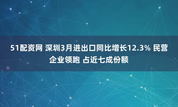 51配资网 深圳3月进出口同比增长12.3% 民营企业领跑 占近七成份额