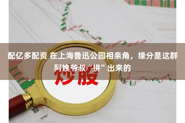 配亿多配资 在上海鲁迅公园相亲角，缘分是这群阿姨爷叔“拼”出来的